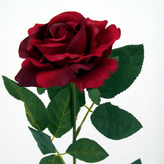 Premium Roses Red 70cm R014C M3
